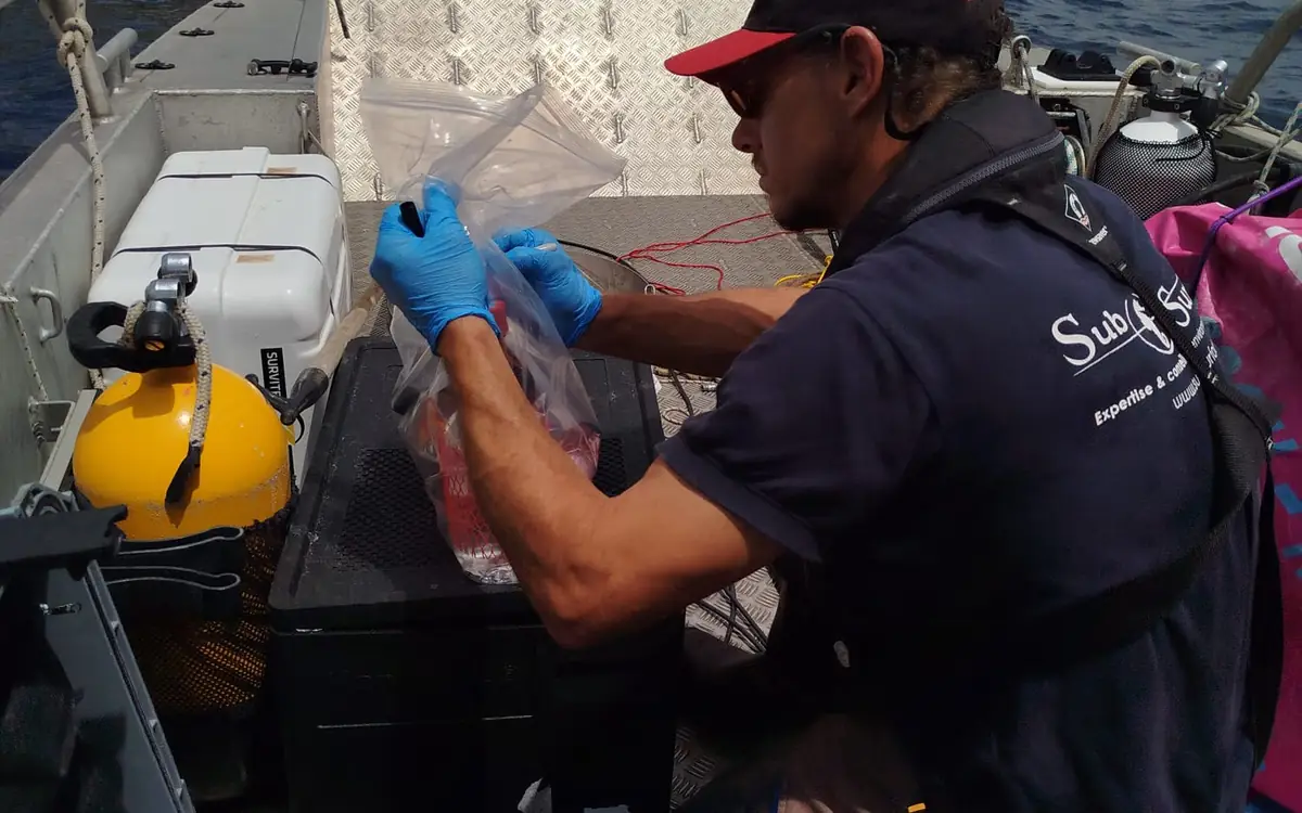 Reconditionnement des échantillons en glacière