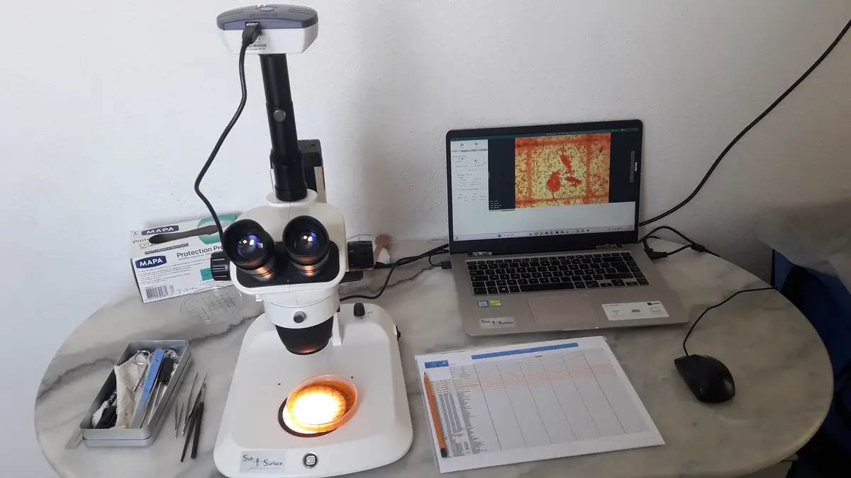 Tri du zooplancton à la loupe trinoculaire